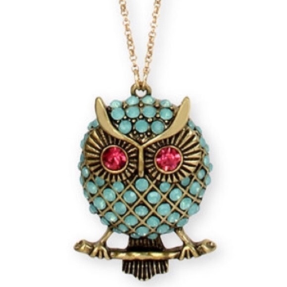 Betsey Johnson Jewelry - Betsey Johnson Aqua Owl Long Pendant Necklace NWT